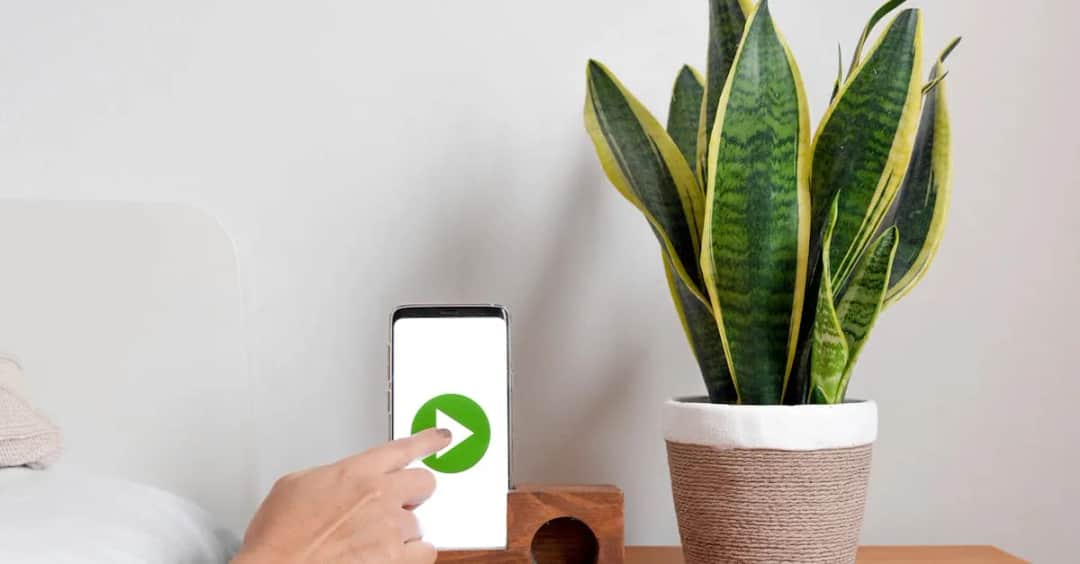 Seriale w social media: Nowy wymiar interakcji z widzem?