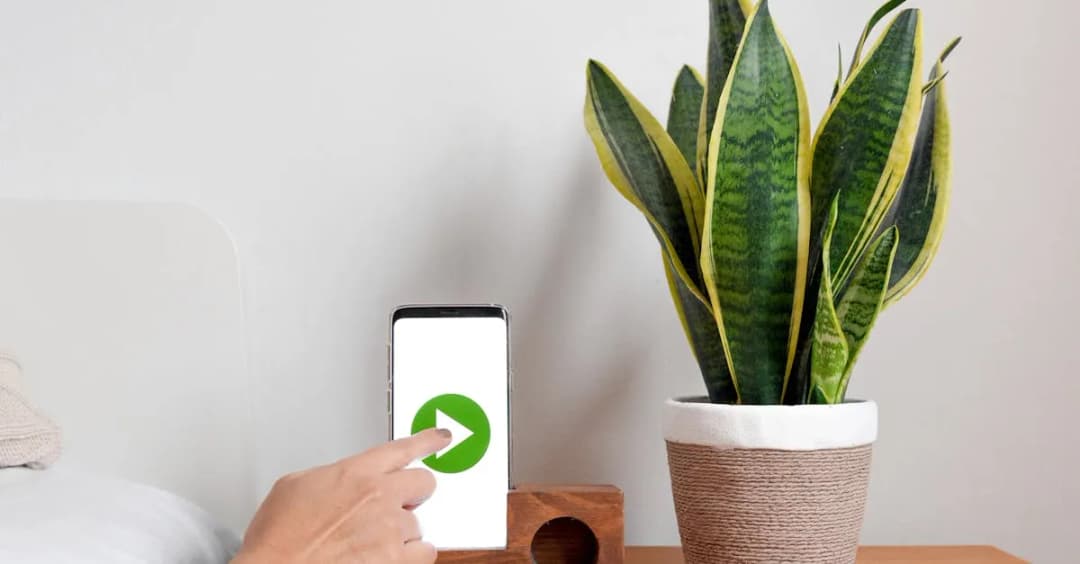 Seriale w social media: Nowy wymiar interakcji z widzem?