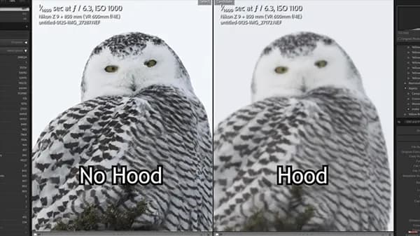 Jak osłona przeciwsłoneczna na obiektyw poprawia zdjęcia i chroni lens