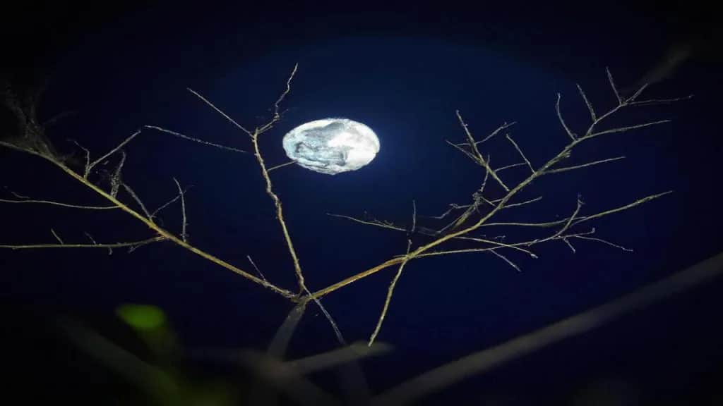 Jak zrobić zdjęcie Księżyca telefonem i uniknąć najczęstszych błędów Jak zrobić zdjęcie Księżyca telefonem i uniknąć najczęstszych błędów