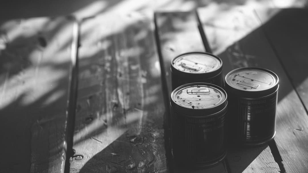 Kodak Tri-X 400 vs Ultramax 400: klasyka czerni i bieli