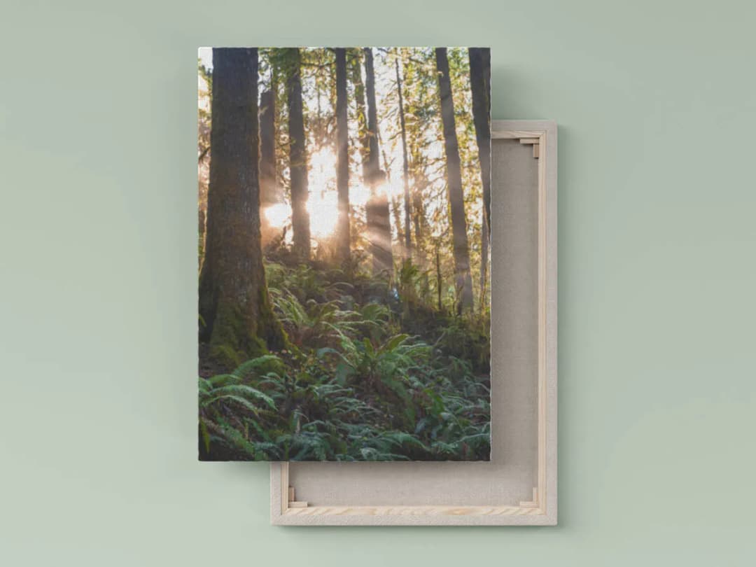 Jak zrobić obraz ze zdjęcia w domowym zaciszu: 8 prostych kroków